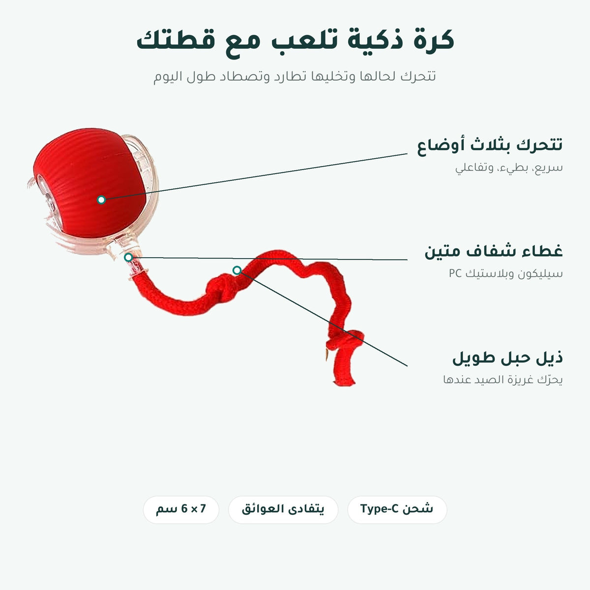 كرة القطط الذكية – صورة 3